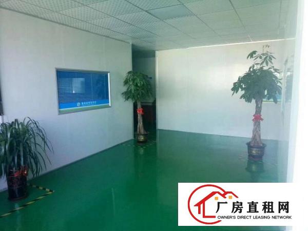  石碣独院单一层厂房2300方（无公摊好办环评）