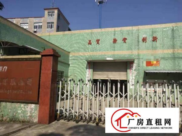  石碣独院单一层厂房2300方（无公摊好办环评）