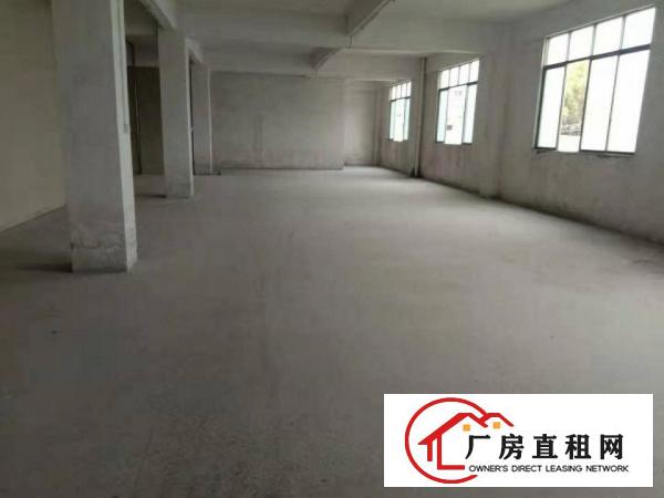  石碣水南工业区马路边独幢标准楼房出租，可工业可商业
