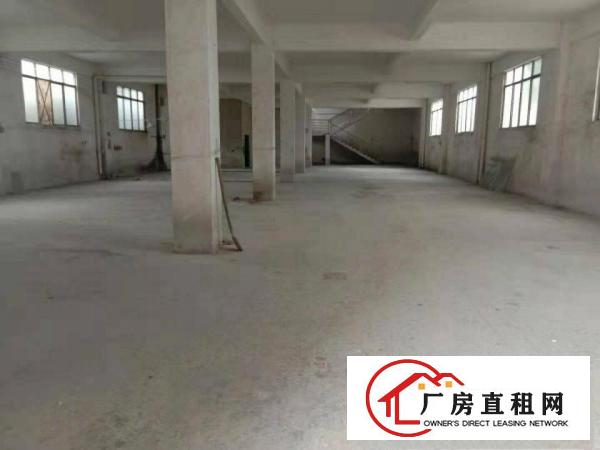 石碣水南工业区马路边独幢标准楼房出租，可工业可商业