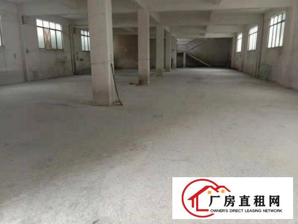  石碣水南工业区马路边独幢标准楼房出租，可工业可商业