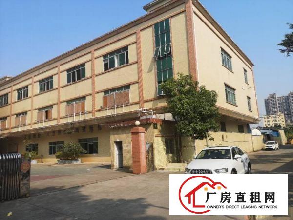  石碣新出原房东小独院厂房3层3800平米，带红本，工业用地