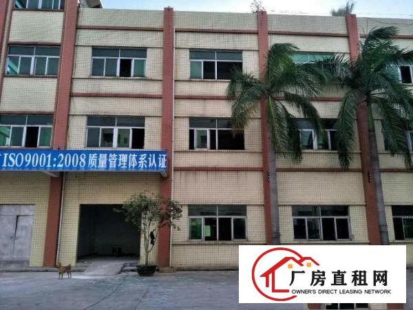  石碣桔州二楼520方（现成装修可办环评）