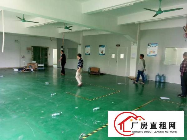  石碣桔州二楼520方（现成装修可办环评）
