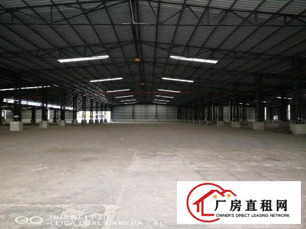  高埗镇工业园区独栋钢结构厂房13000平方岀租！