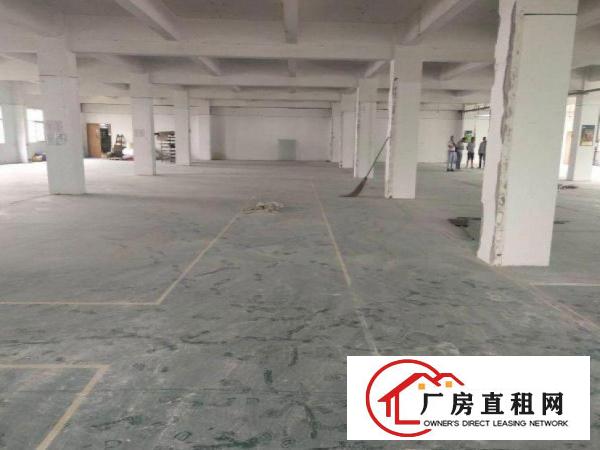  草墩村新出一楼2000平方大小可分400，带精装修办公室