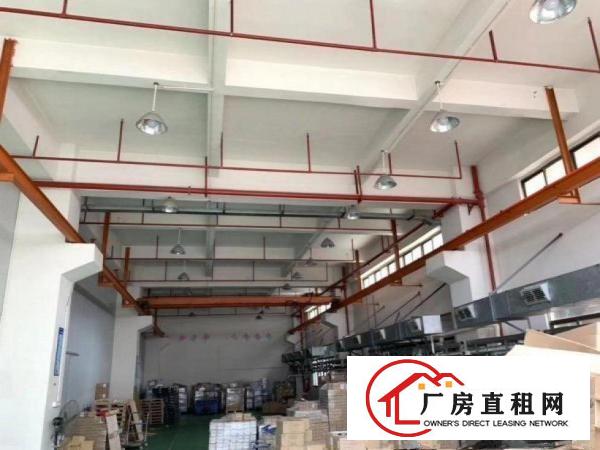  宝莲村1楼600平带办公室，原房东，可办环评