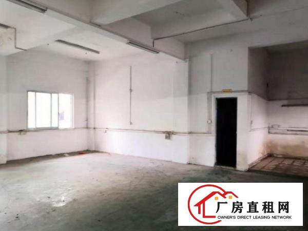  凌屋村单一层厂房400平有办公室装修光线好
