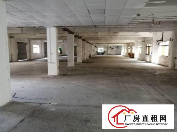  芦村村1200平方厂房仓库出租工业用地可噪音