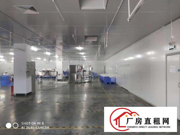  广东省东莞市高埗镇原房东标准厂房出租