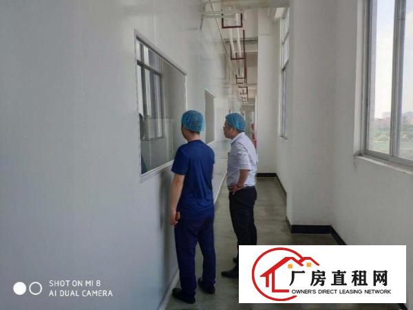  广东省东莞市高埗镇原房东标准厂房出租