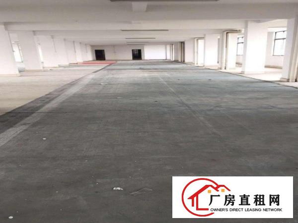  高埗标准厂房一楼1000平方出租适合仓库贸易空地大