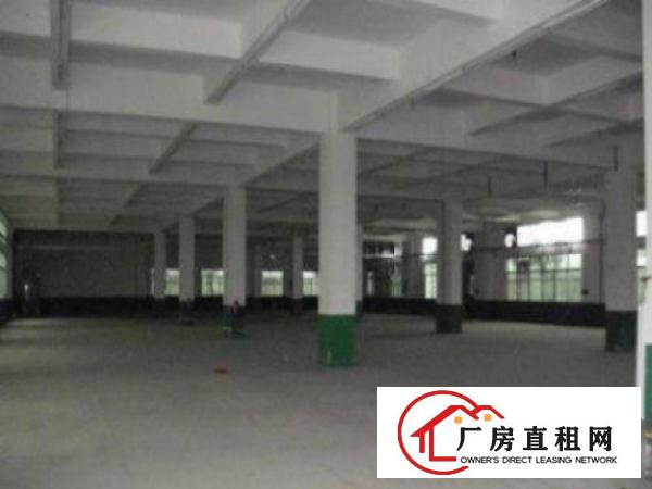  高埗标准一楼厂房出租1000平方出租交通方便消防水电齐全