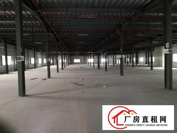  环城路外原房东独院厂房10000平出租