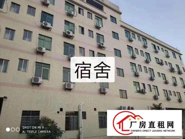  高埗新出原房东独门独院单一层厂房21000方
