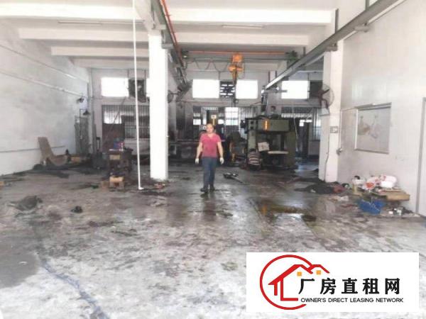  朱磡村新出1楼450平带办公室，车间水电齐全出租