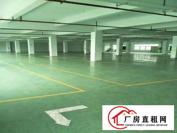  高埗工业园分租楼上2500平方全新地坪漆带精装办公带喷淋消淋