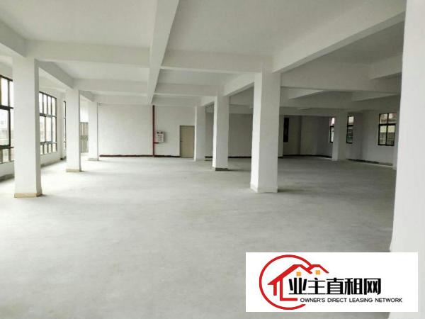  高埗标准独院500-20000平方厂房招租分租宿舍按需，电大