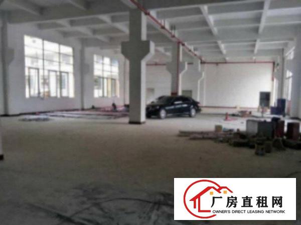  高埗环城路外适合重型工业厂房一楼楼500-1000平，带牛角