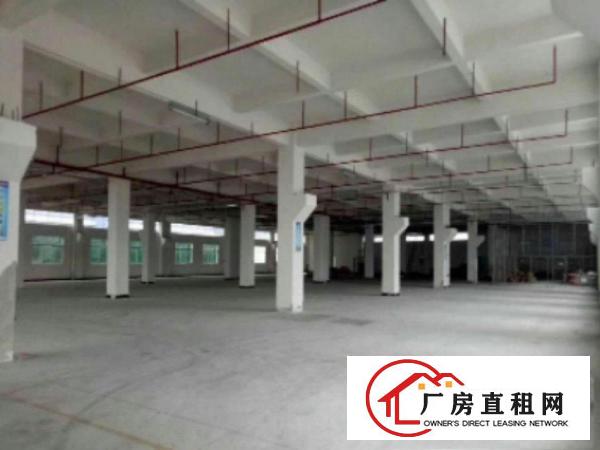  高埗独院标准厂房楼上厂房1200平，现成装修，办公配套齐