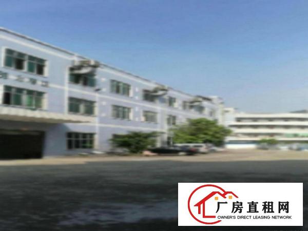  高埗环城路以外标准一楼厂房800或1000㎡出租、配套齐全