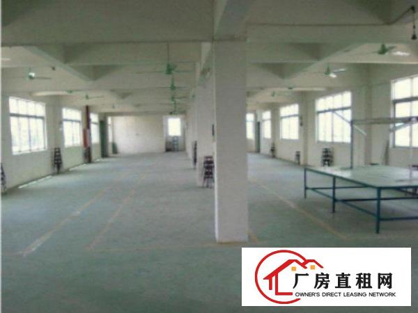  高埗标准一楼厂房1500平方米,层高6米,水电线路齐全空地大