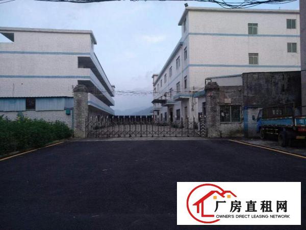  高埗标准一楼厂房700或1000㎡出租进出大货车，适合各行业