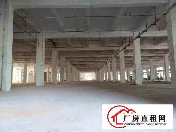  高埗工业区独院标准厂房仓库一楼2000平方出租带卸货平台