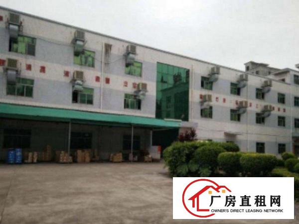  高埗带地坪漆水电现成装修一楼厂房1200平出租豪华装修办公室