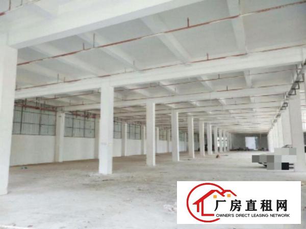  高埗标准一楼重工业厂房1500平方出租水电齐全，有办公室装修