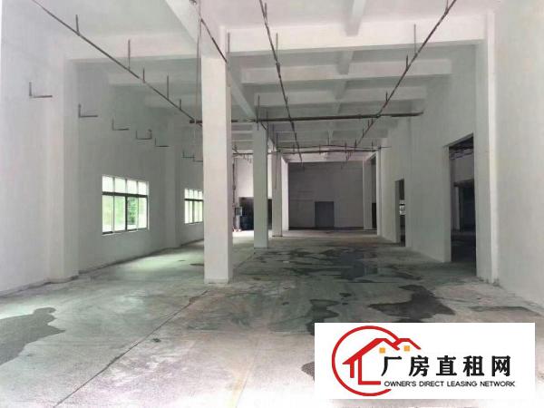  高埗标准一楼厂房1000或1500㎡出租交通方便有宿舍