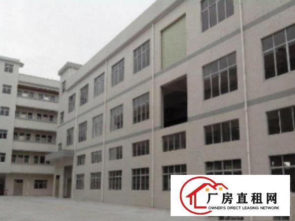  高埗标准一楼厂房800或1000㎡出租水电齐全交通方便