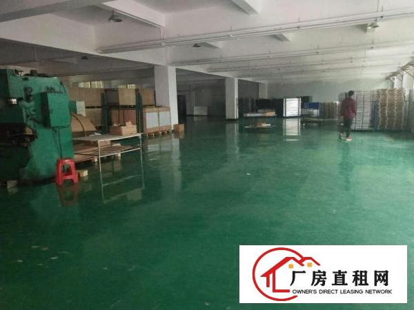  高埗标准一楼600或1000平方招租带现成办公室装修