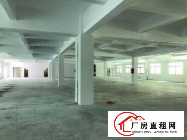  高埗4500平方独院标准厂房出租形象好交通方便可办环评