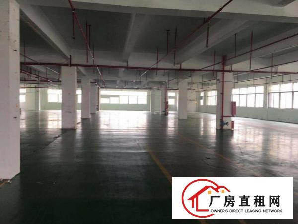  高埗标准一楼厂房750或1200平方出租空地大，水电齐全