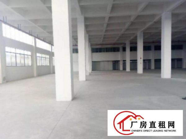  高埗标准厂房一楼或二楼1000平方出租带现成办公室装修