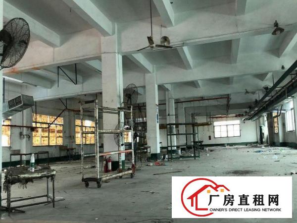  高埗新出一楼厂房1500平方米,水电齐全,带装修