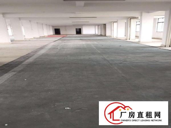  高埗标准厂房一楼800平方出租适合仓库贸易交通方便