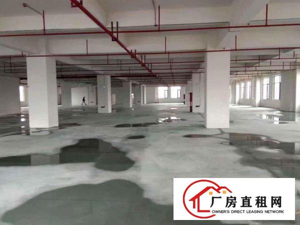  高埗独院一楼1700平厂房有精装办公室出租水电齐全，宿舍按需
