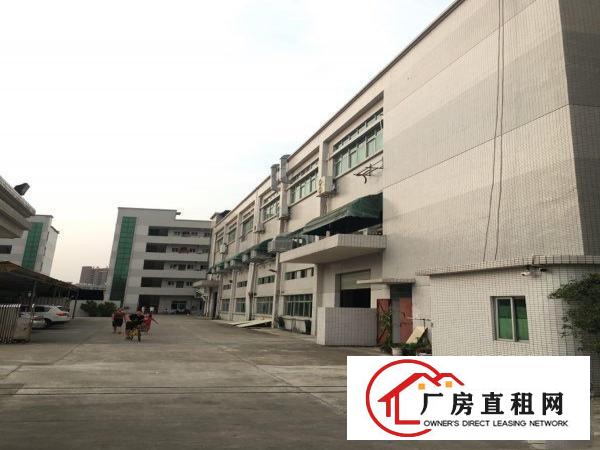  高埗1500平米一楼标准厂房出租,水电齐全