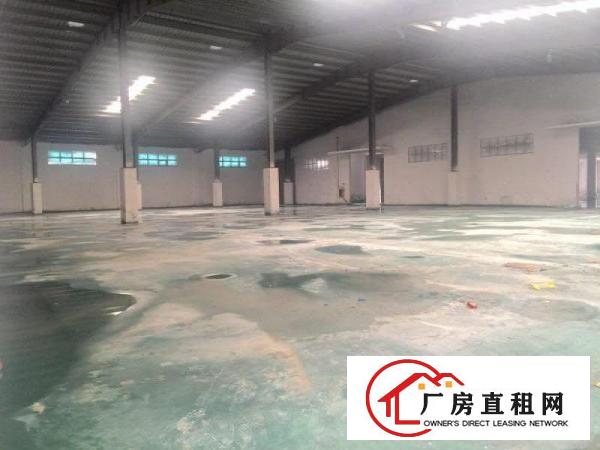  高埗600平米钢构单一层小厂房,交通便利厂房内水电、线路现成