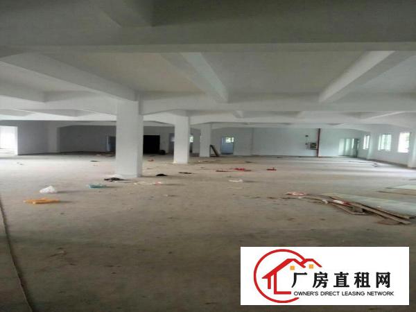 高埗1500平方优质楼房1楼层出租人流旺，好招工，交通非常便