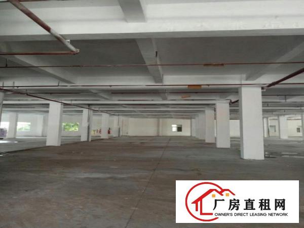  高埗新出独院标准楼房1栋3层6500平方出租水电线路齐全，成