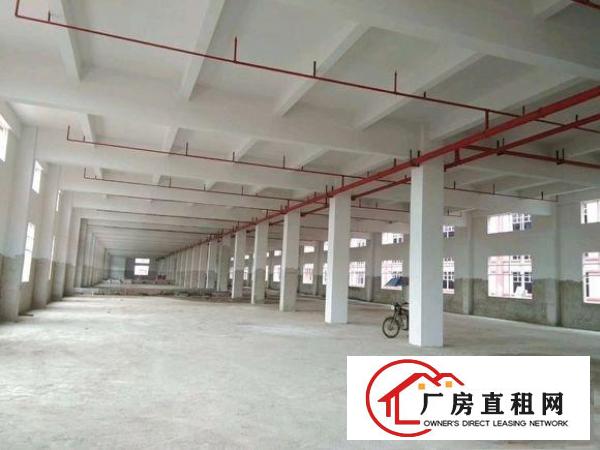  高埗独院标准厂房楼上2000平方出租带消防喷淋交通方便