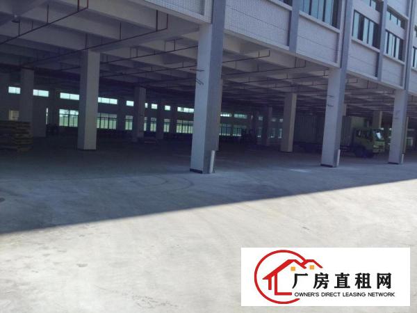  高埗一楼厂房仓库出租