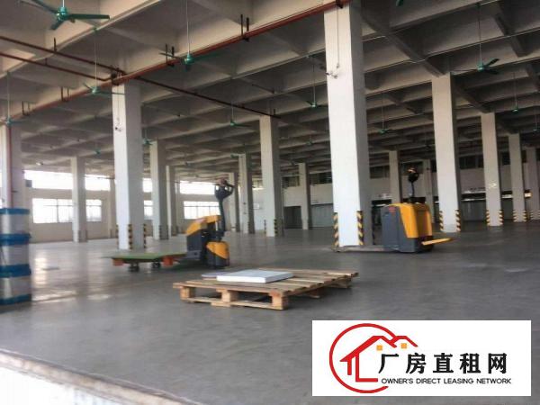  高埗配套齐全超靓各种厂房出租,标准厂房分租