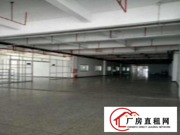  高埗工业区标准一楼2000平方招租水电齐全带消防喷淋