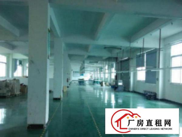  高埗新出2层厂房4500平方标准厂房出租