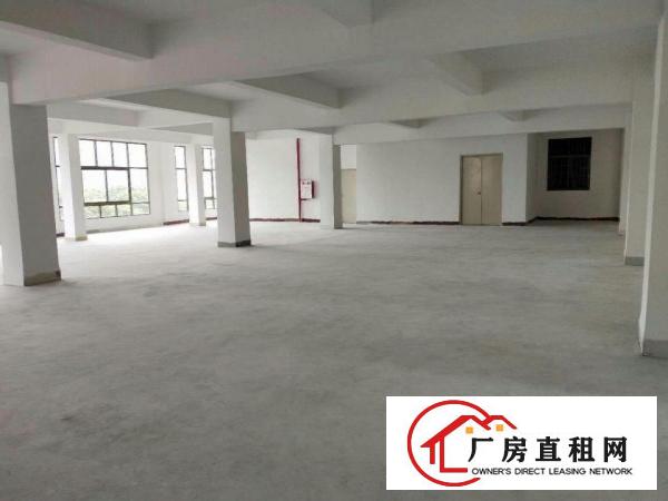  高埗标准一楼厂房1500或2000㎡出租(配套齐全易招工