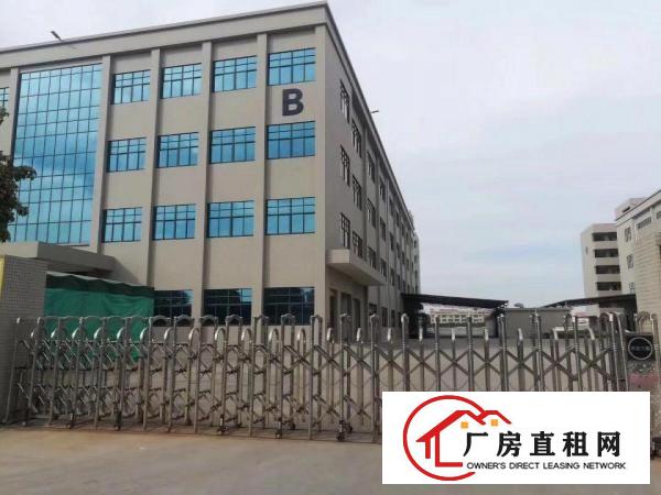  高埗工业区标准厂房楼上3000平出租有电梯宿舍按需带消防喷淋